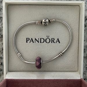 Pandora Murano Glass Charm